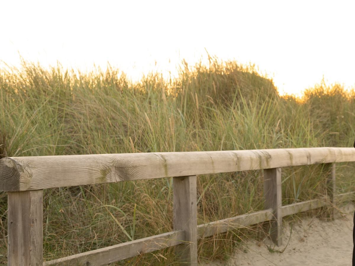Holzzaun und Dünengras am Strandweg in Norddeich